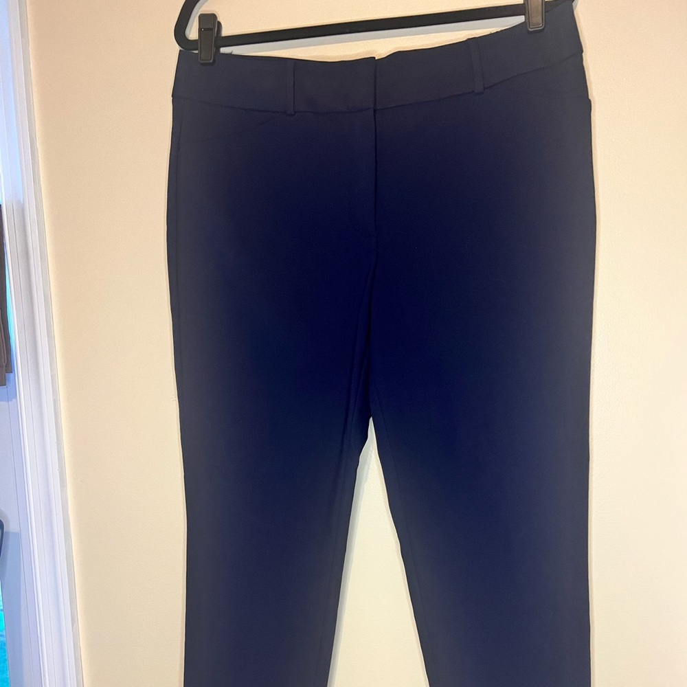 NEVER WORN Navy Ankle Pant